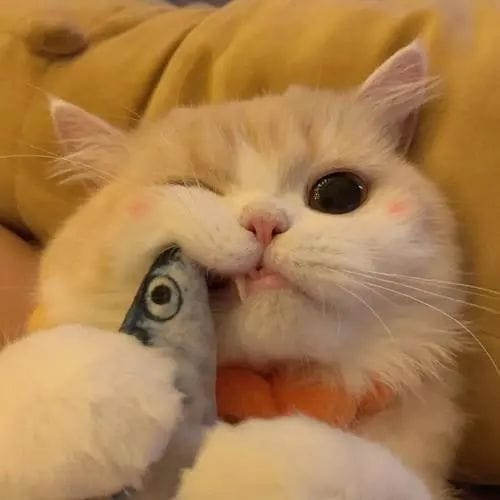 Sarwendah Tan avatar